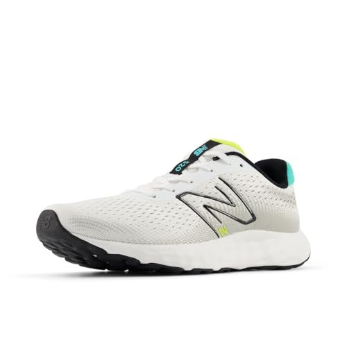 New Balance Men's 520 V8 Running Shoe