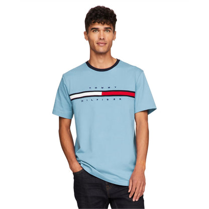 Tommy Hilfiger Men's Short Sleeve Signature Stripe Graphic T-shirt